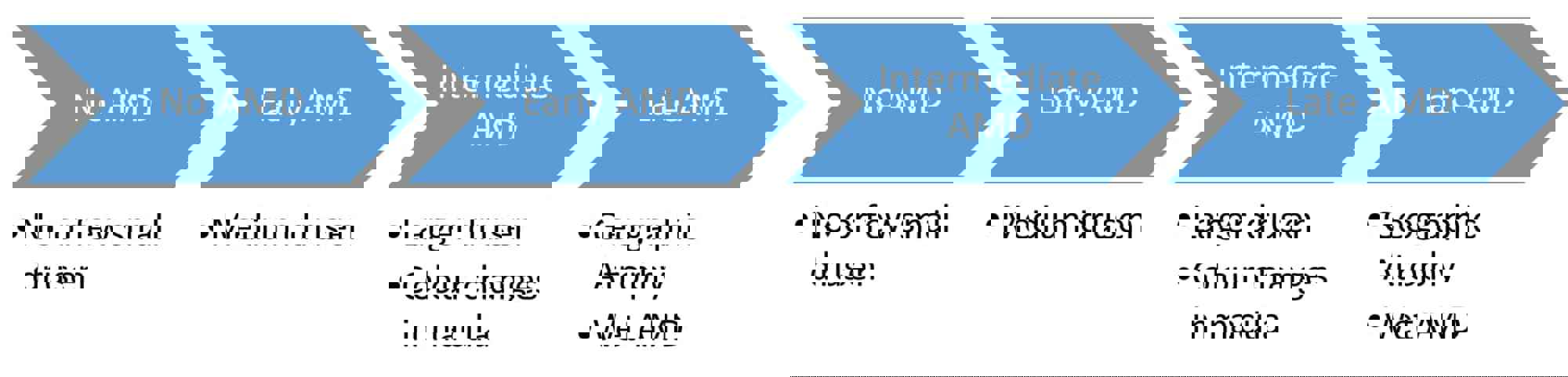 Basic Diagram For Geographic Atrophy 