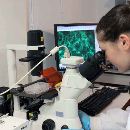 Researcher looking into microscope. Liverpool
