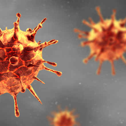 Coronavirus 
