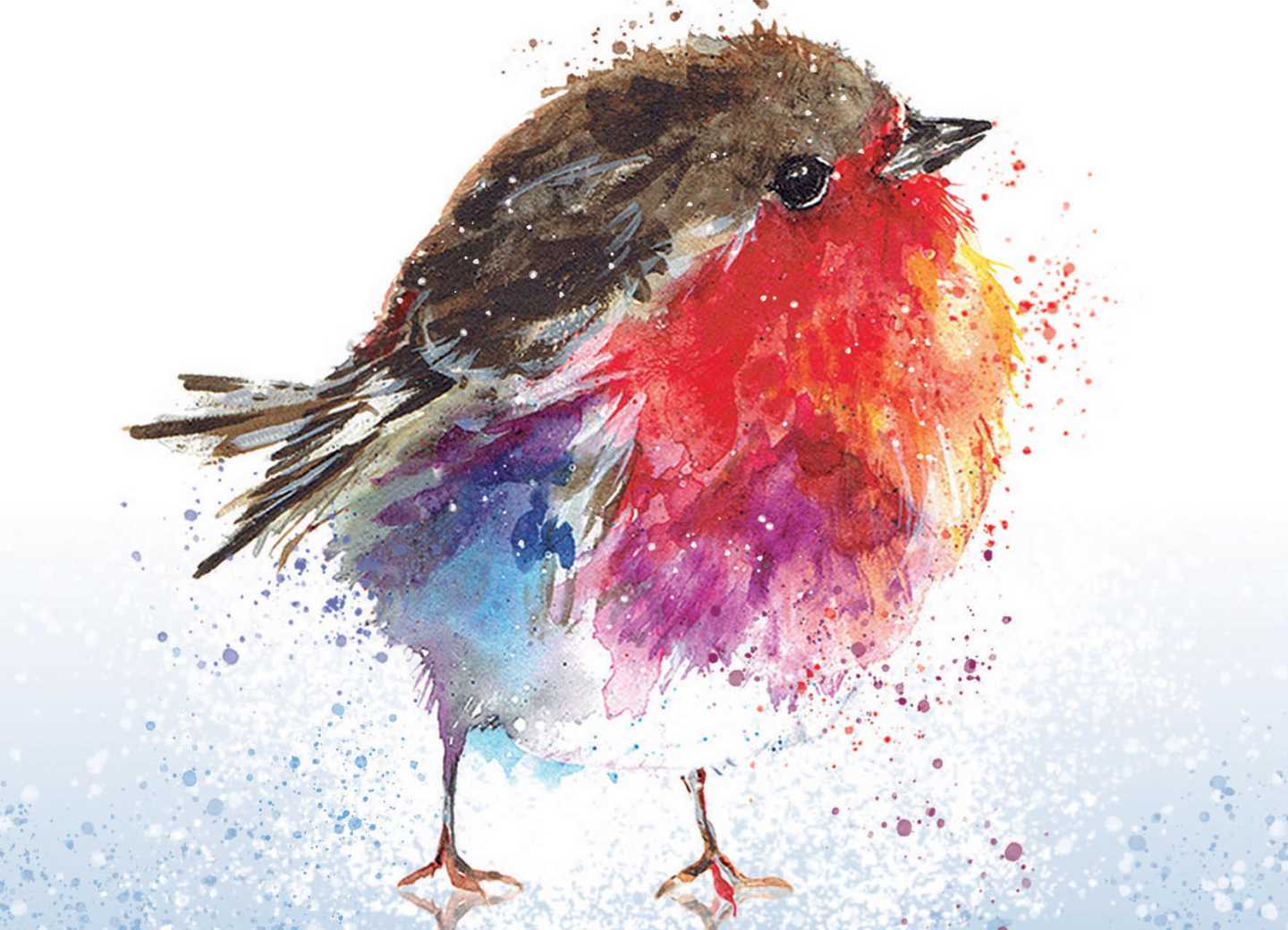 Robin Christmas card