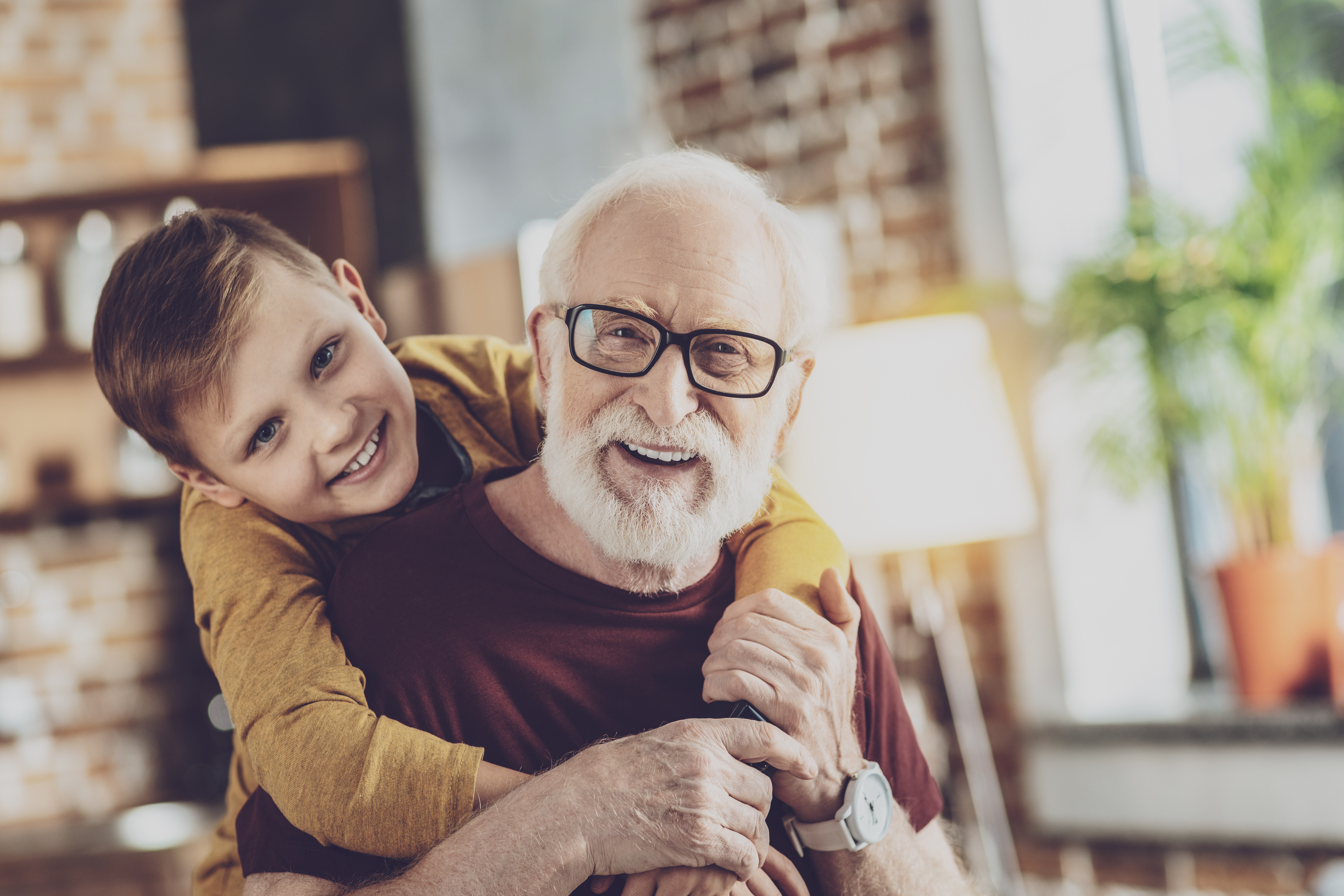 Request your Gift in Wills pack primary image