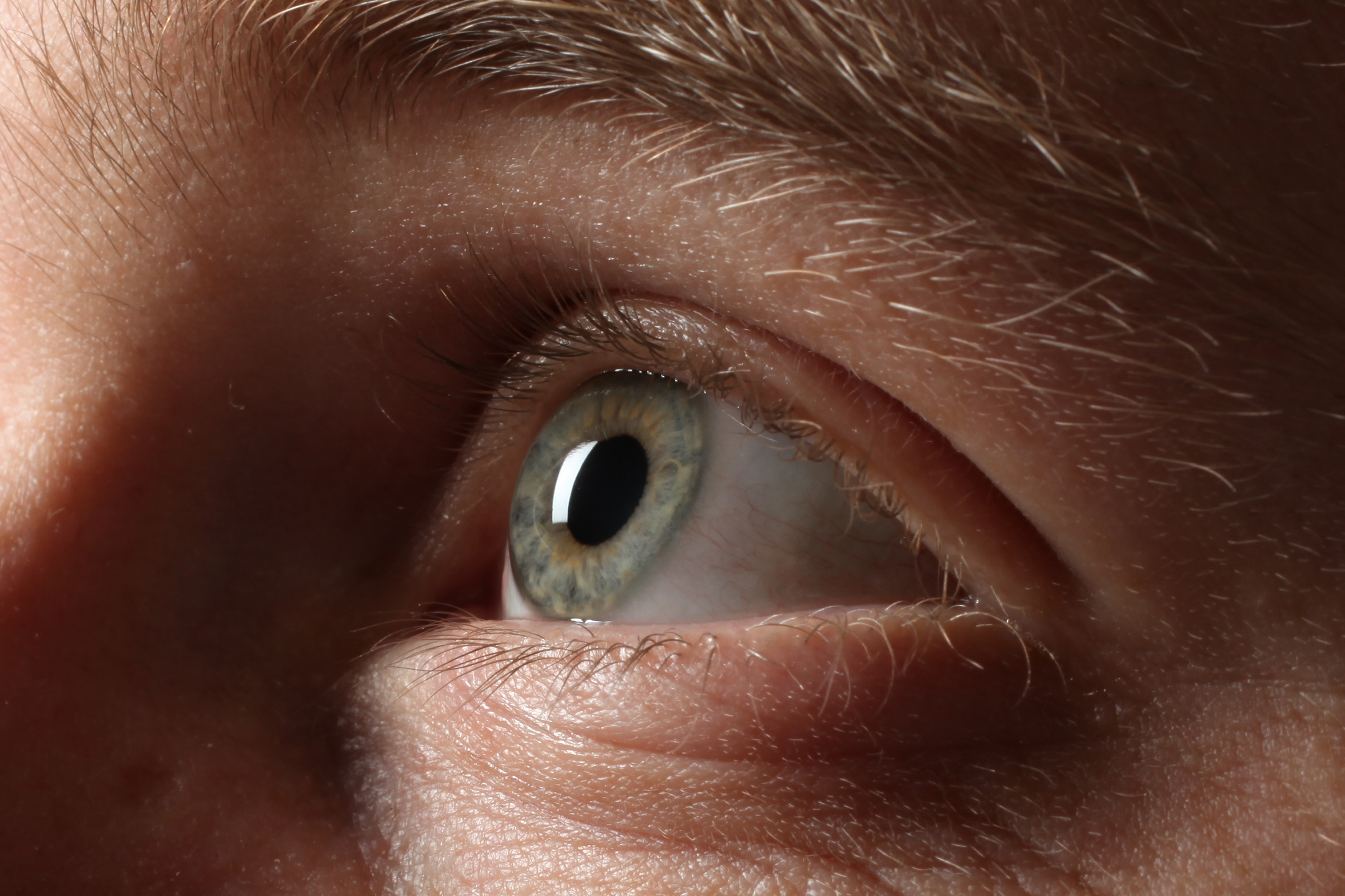 Close up of eye looking up