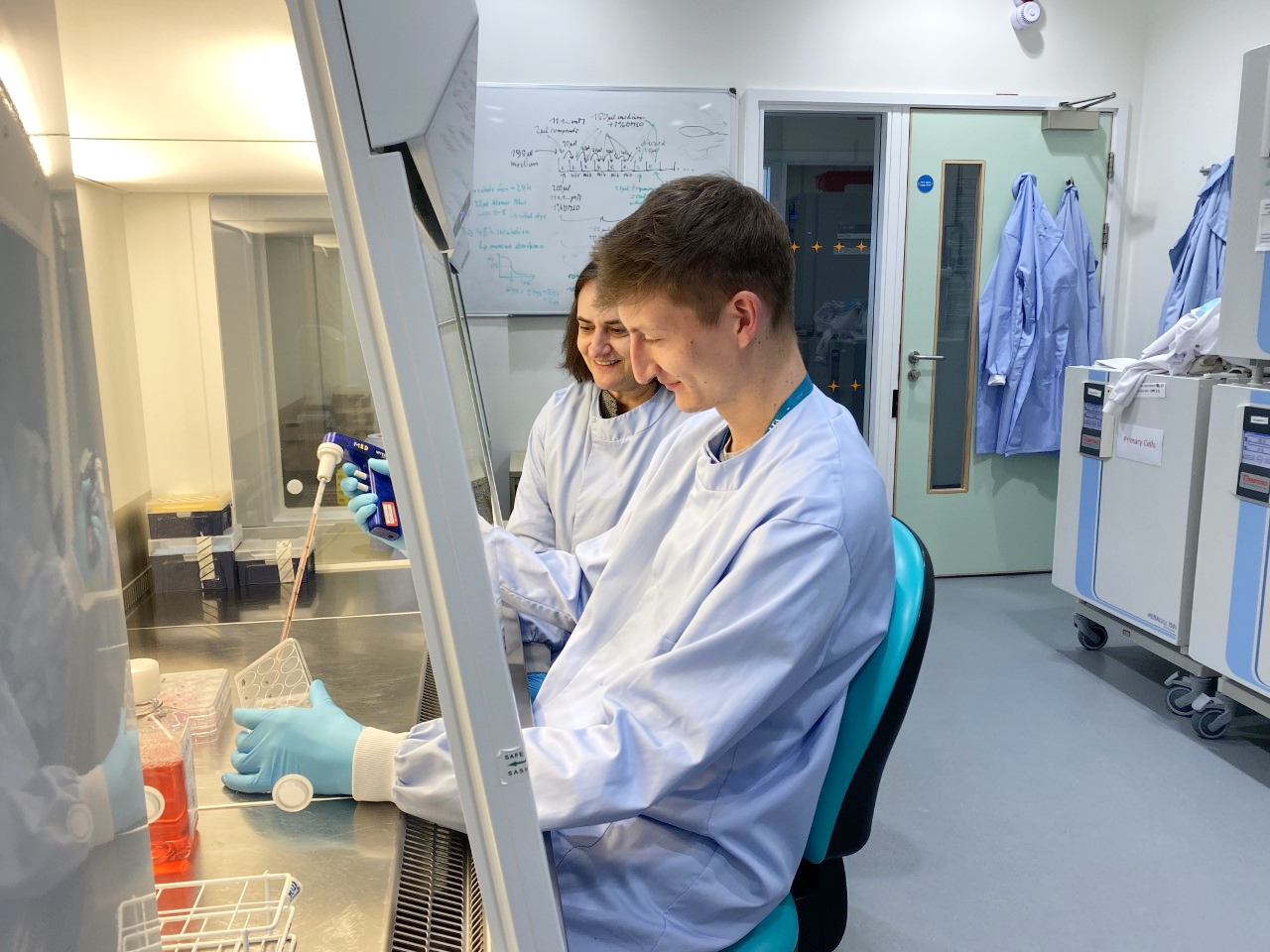 Researchers from Dr Linda Troeberg's project