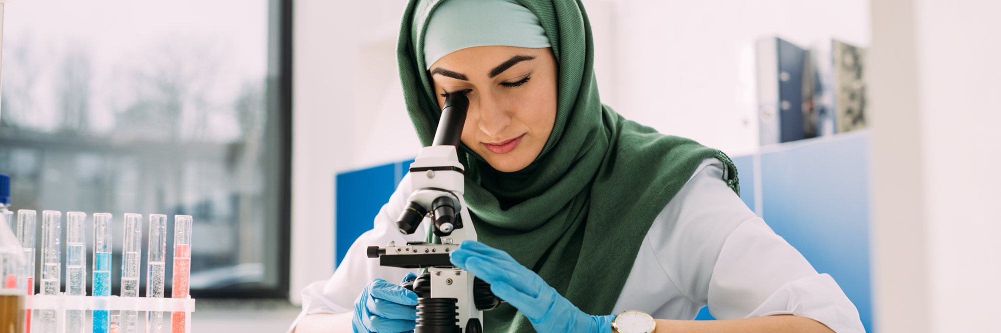 Our research programme: investing in the future primary image