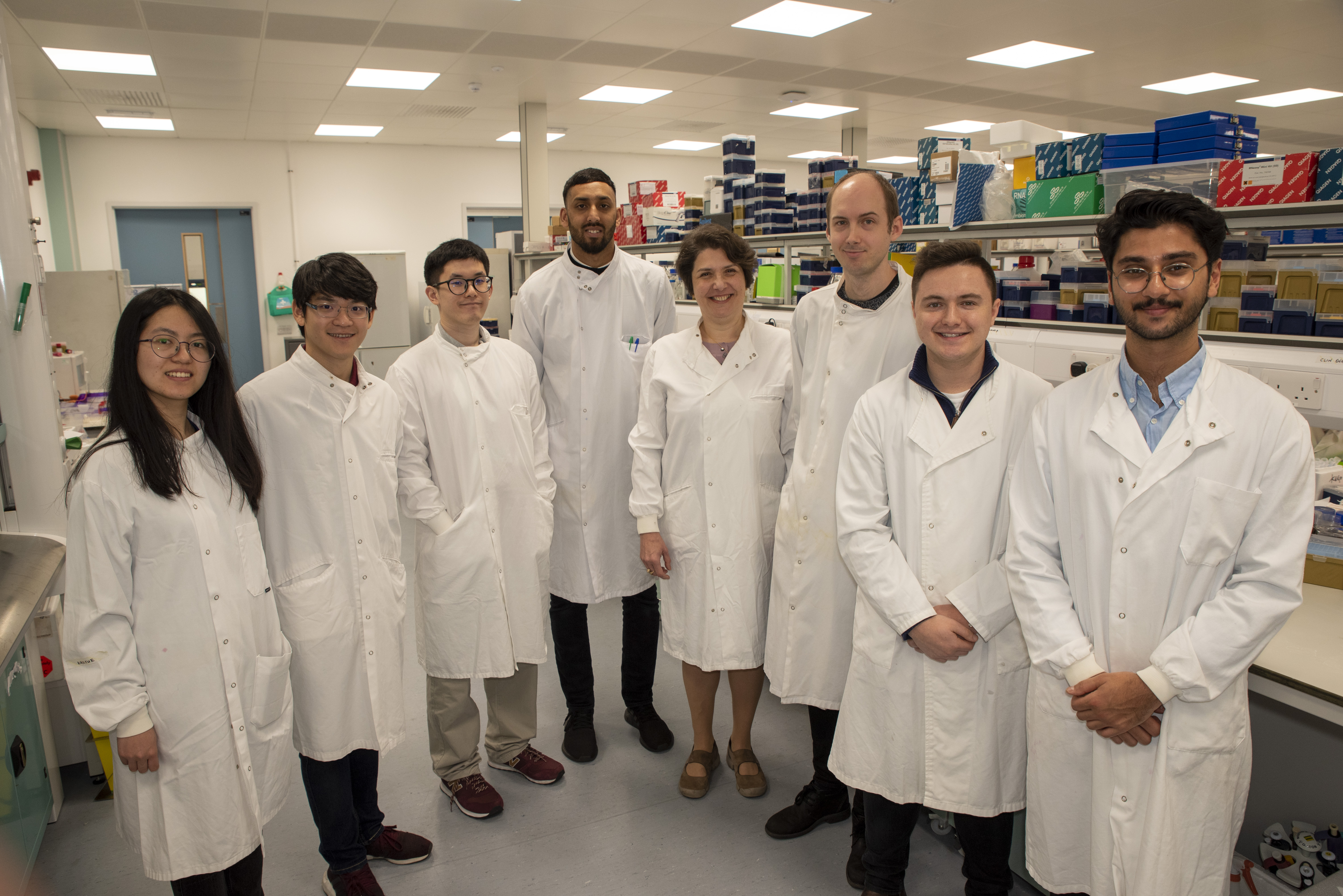 Professor Luminita Paraoan and her team, University of Liverpool