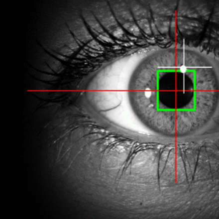 eye in black and white with a red and green tracker over the top of the pupil, tracking the movements of the eye.